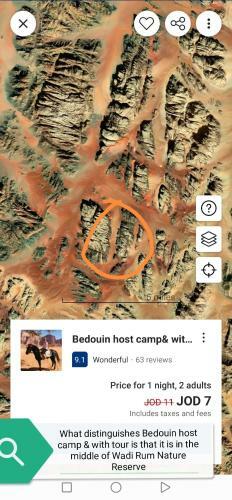 Bedouin Host Camp& With Tour