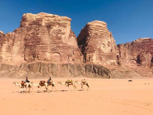 Wadi Rum Echo Camp