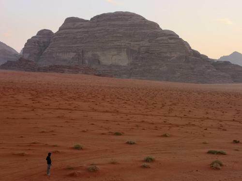 Bedouin Memories Camp