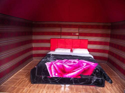 Desert Mars Camp & Tours