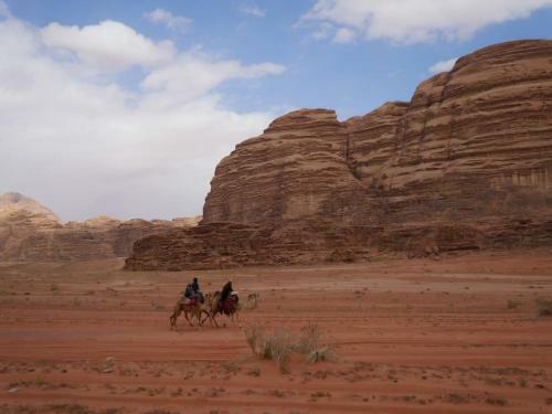 Desert Mars Camp & Tours