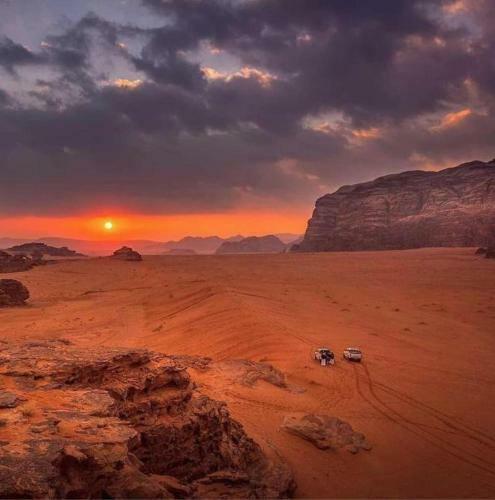 Desert Mars Camp & Tours