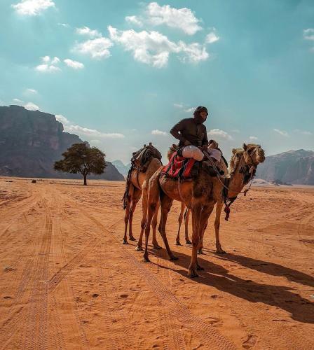 Desert Mars Camp & Tours