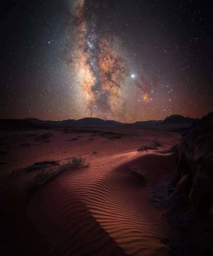 Desert Mars Camp & Tours