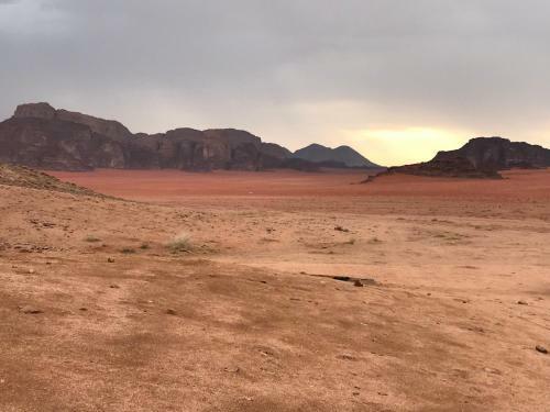 Wadi Rum Camp& Jeep Tour