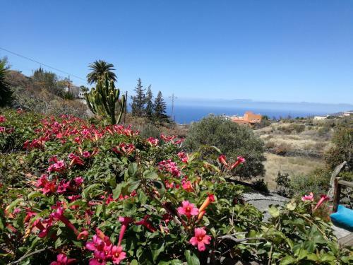 Finca Alda