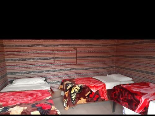 Wadi Rum Pyramid Camp