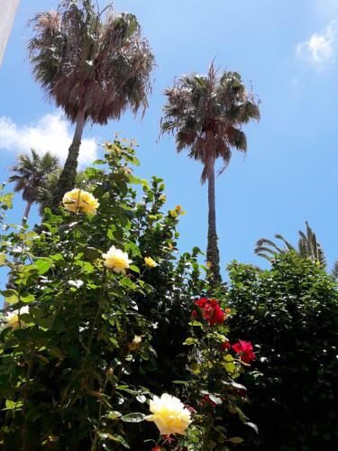 Apartamento Casas Ricardo