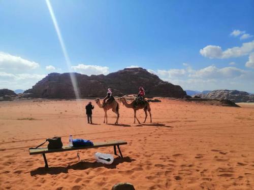 Wadi Rum Local Camp