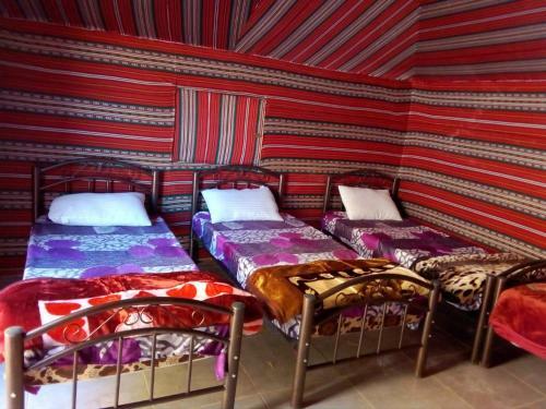 Bed & Breakfast Moon City Camp