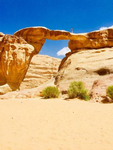 Red Desert Camp