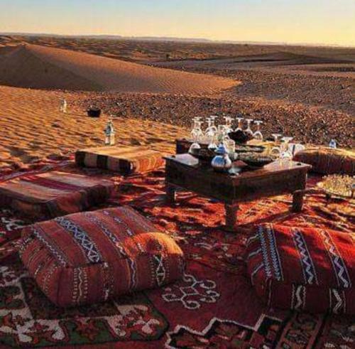 Discover The Life Of Wadi Rum