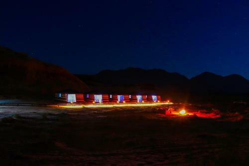 Discover The Life Of Wadi Rum