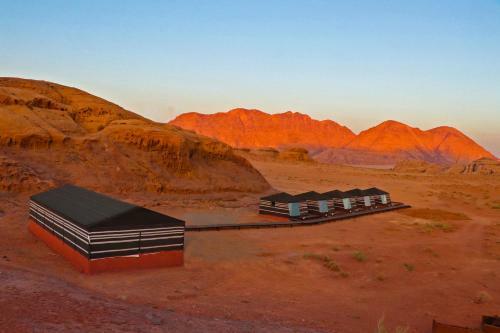 Discover The Life Of Wadi Rum