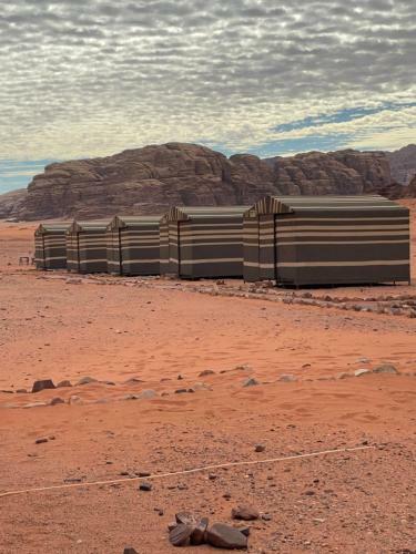 Sand And Stone Camp - Wadi Rum Desert