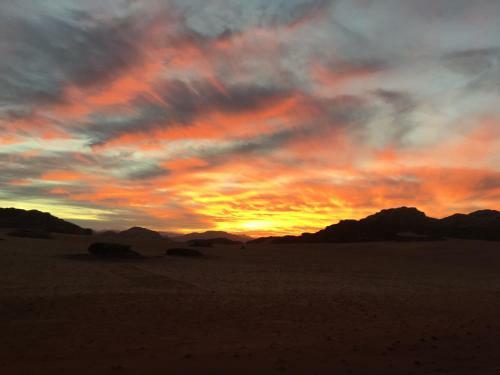 Sand And Stone Camp - Wadi Rum Desert