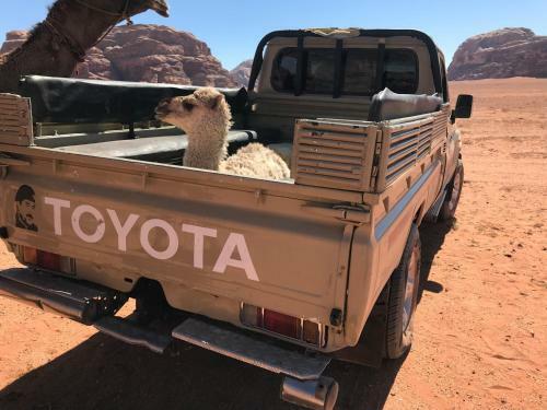 Sand And Stone Camp - Wadi Rum Desert