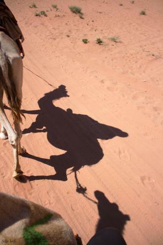 Sand And Stone Camp - Wadi Rum Desert