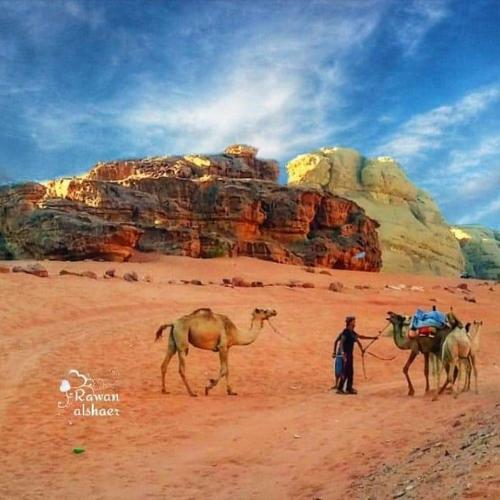 Wadi Rum Enchanting Nature Camp