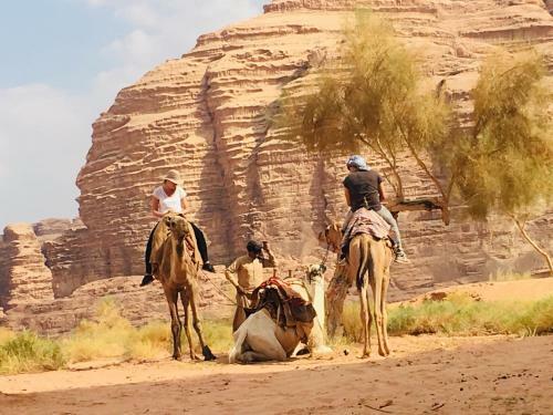 Wadi Rum Desert Guide