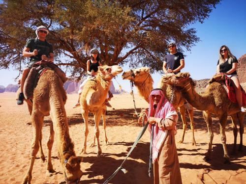 Wadi Rum Desert Guide