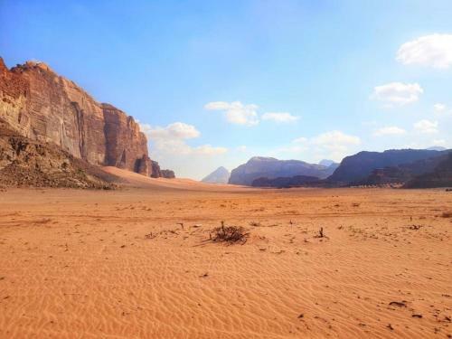 Wadi Rum Dew