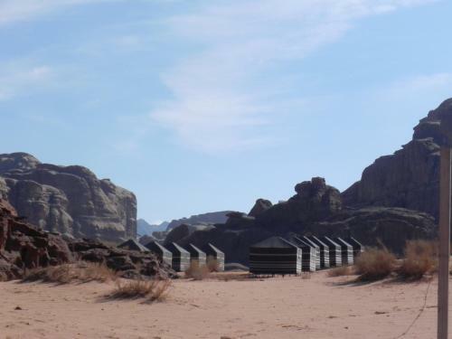 Wadi Rum Dew