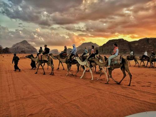Bed & Breakfast Wadi Rum Desert Lovers Camp