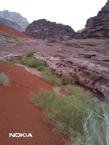 Bed & Breakfast Wadi Rum Desert Breath