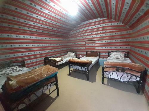Wadi Rum Desert Experience