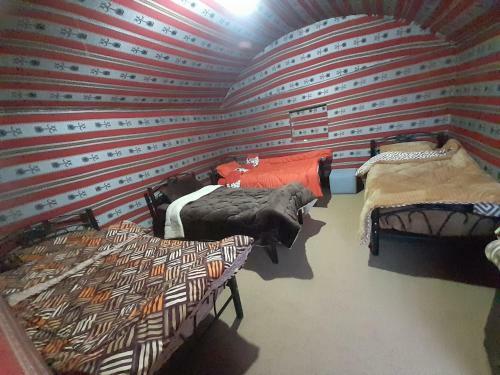 Wadi Rum Desert Experience