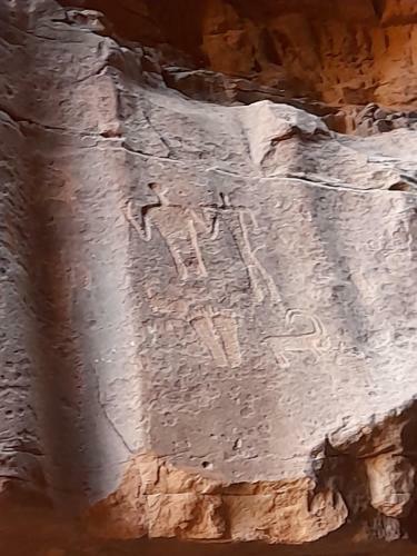 Wadi Rum Desert Experience