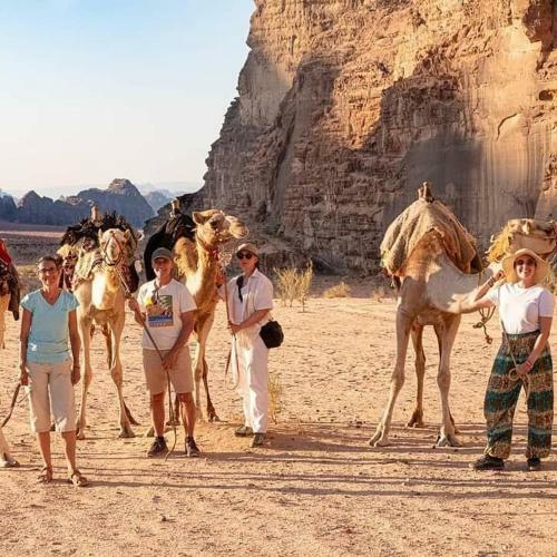 Bedouin Moon Camp&tour