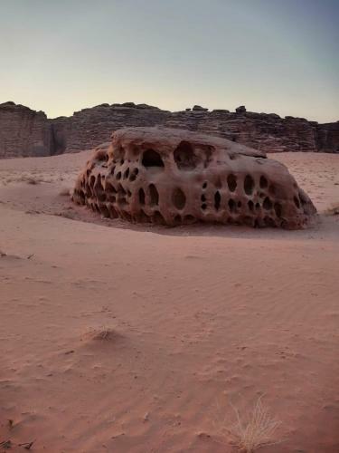 Bedouin Moon Camp&tour