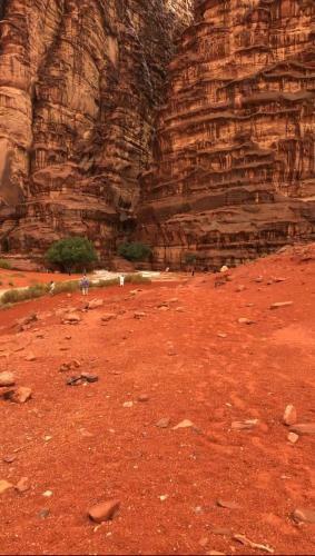 Wadi Rum Alternative Camp