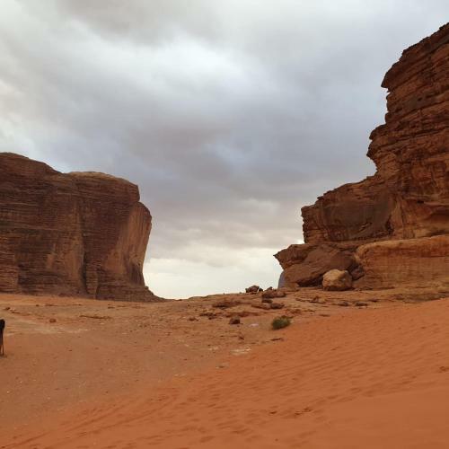 Wadi Rum Wonders