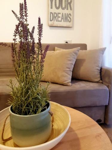 Apartamento Rene