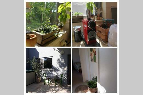 A Sweet Apartment In Hula Valley