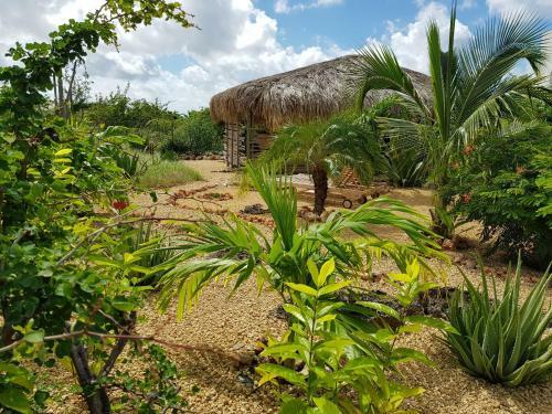 Apartamento Yamba From Bonaire