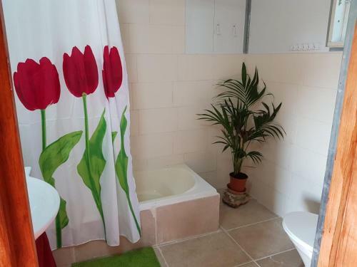 Apartamento ???? ???????