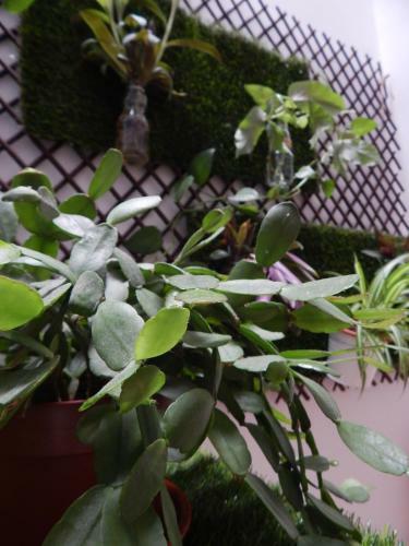 Bed & Breakfast Twenty Seven Degrees Las Palmas