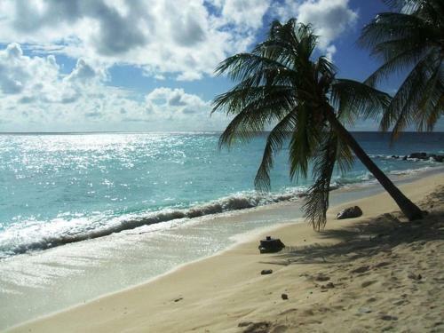 Apartamento White Sands Beach Villas - Villa D