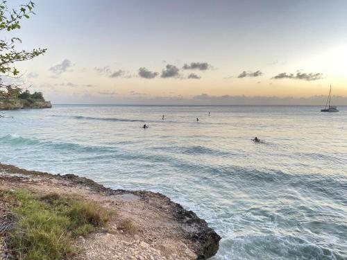 Searocks Beach Apartments