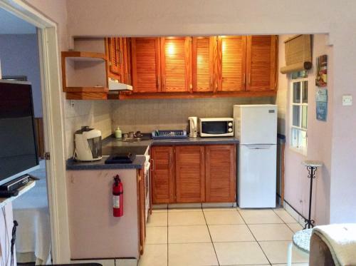 Comfortable Apartment In Holetown Near Beach And Shops