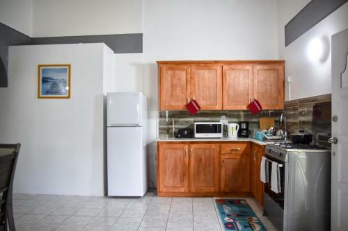 2 Bedroom Master Apartment In Roseau