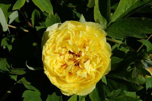 Eagle's View Bed & Breakfast