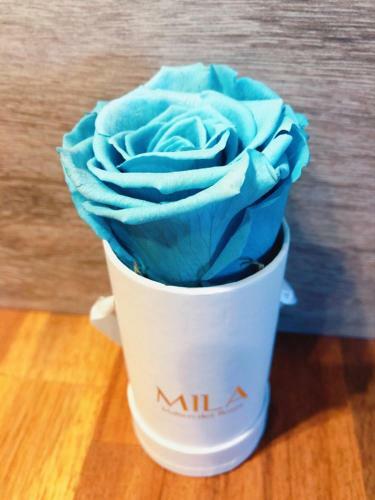La Kaz'a Mila