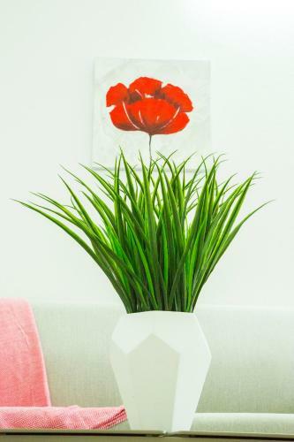 G�te Hibiscus Destrellan