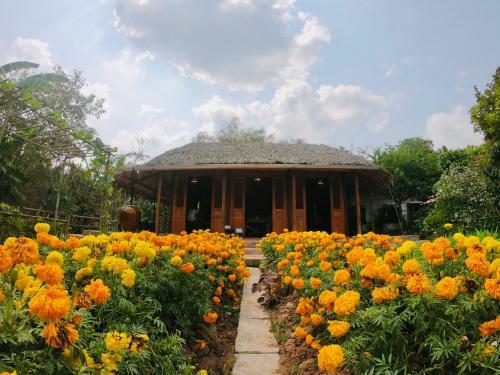 Hostal Xeo May Homestay