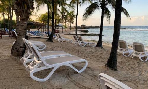 Apartamento Studio Douceur Des Iles